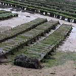 בית נופש Les Gravelots