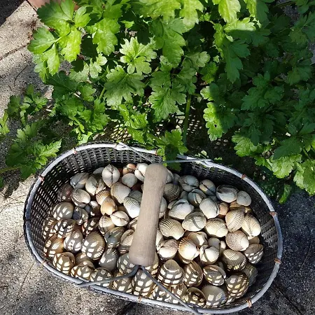 Дом отдыха Les Gravelots Сен-Вааст-ла-Уг