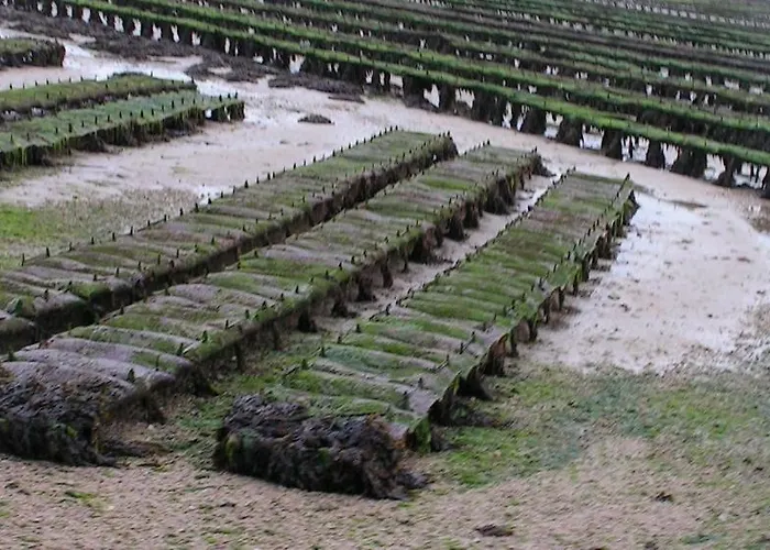 Dom wakacyjny Les Gravelots