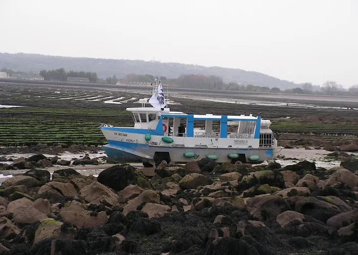 Les Gravelots * Saint-Vaast-la-Hougue