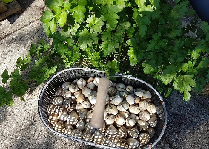 Dom wakacyjny Les Gravelots Saint-Vaast-la-Hougue