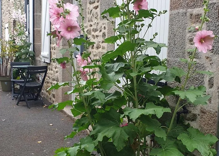 Dom wakacyjny Les Gravelots Saint-Vaast-la-Hougue